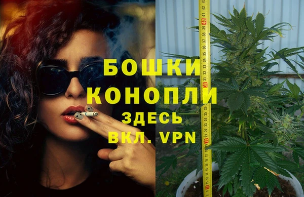 стафф Бородино