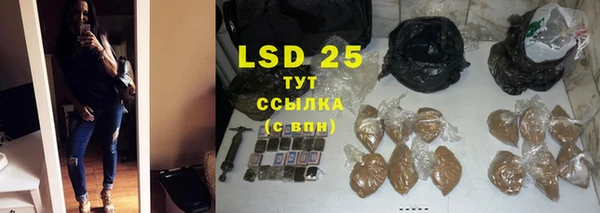 стафф Бородино