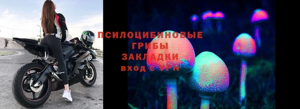 стафф Бородино