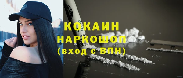 стафф Бородино