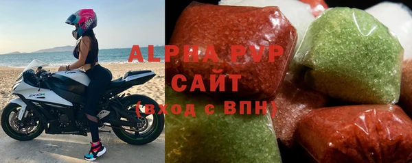стафф Бородино